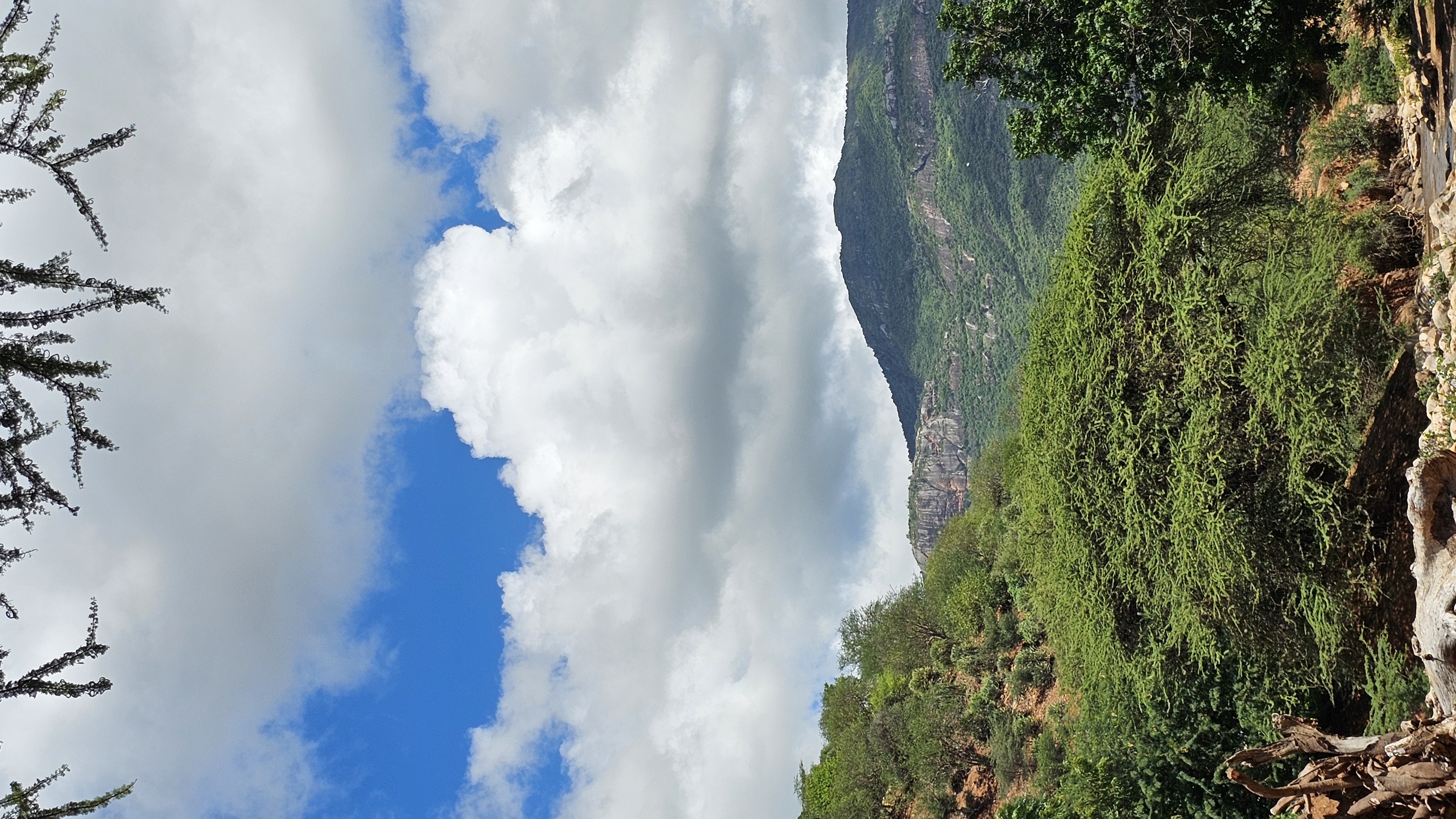 Mount Ngiro Ecosystem